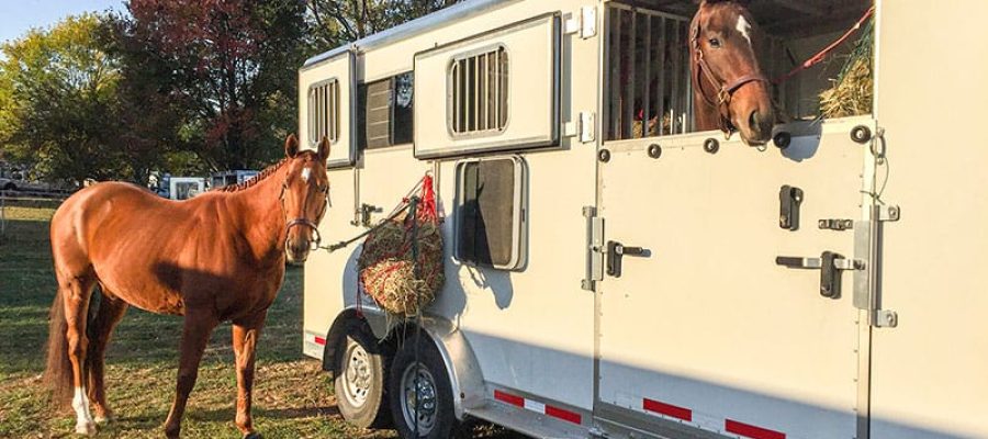 IMG_7815_HorsesatTrailer-SC